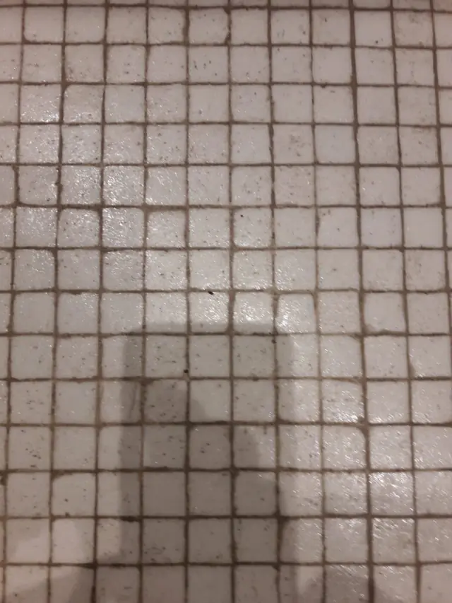 binnenmuur en plafond na sauswerk